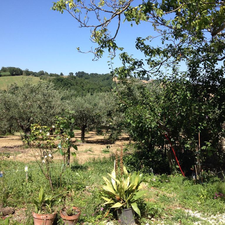 فيلا Masseria Spadone Civitella Casanova المظهر الخارجي الصورة