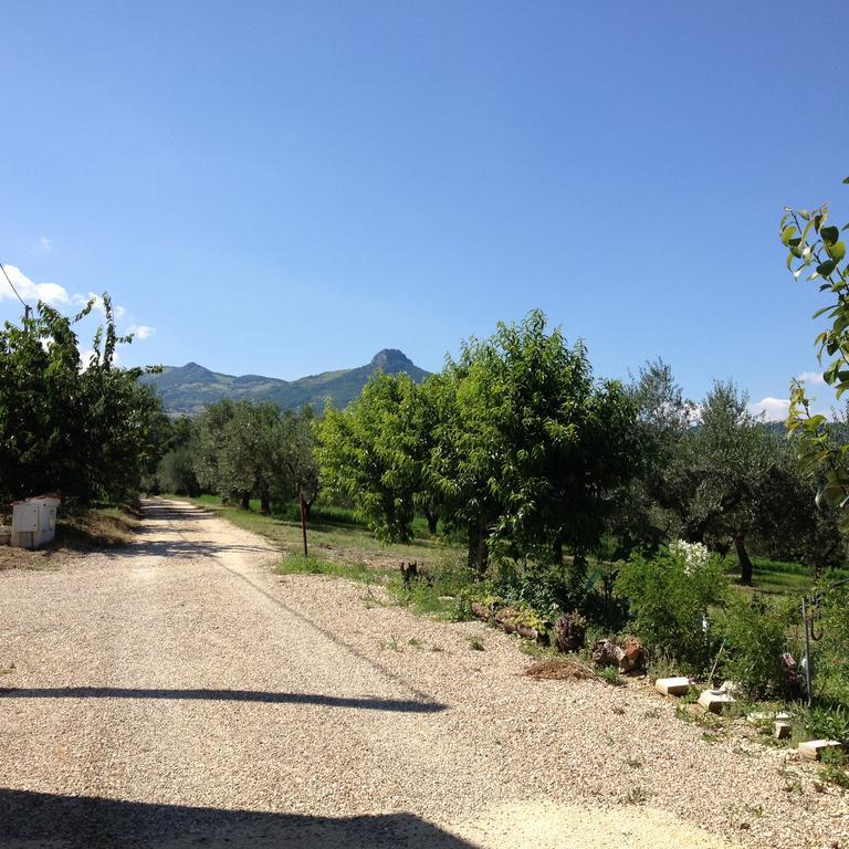 فيلا Masseria Spadone Civitella Casanova المظهر الخارجي الصورة