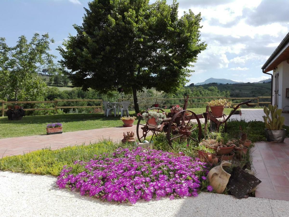 فيلا Masseria Spadone Civitella Casanova المظهر الخارجي الصورة